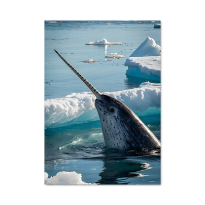 Poster Voyage au Pôle