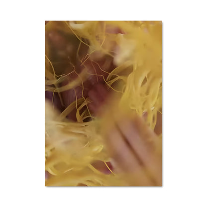 Poster Pétale d'Or