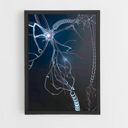 ap-neurons-1 cadre Noir