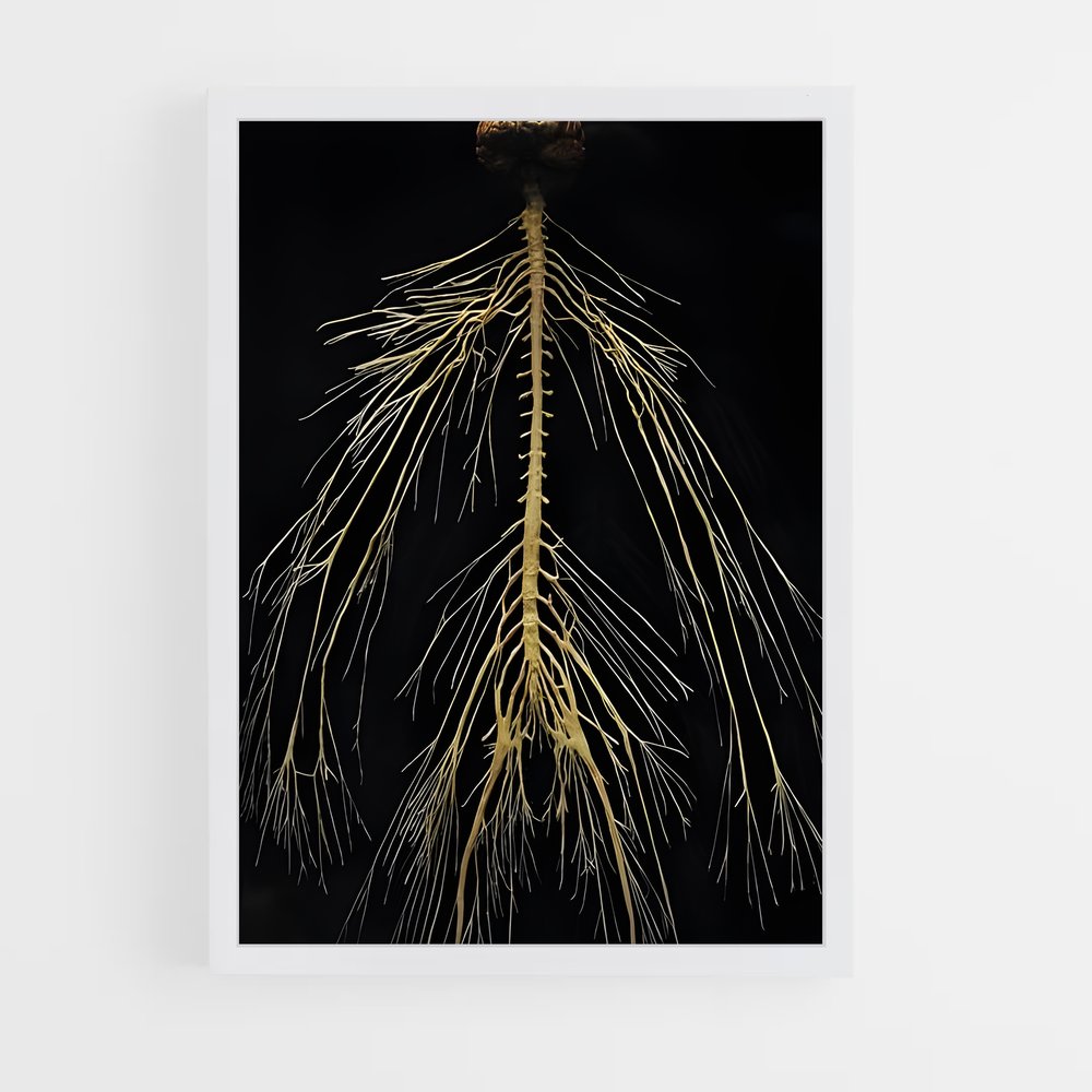 ap-neurons-3 cadre Blanc