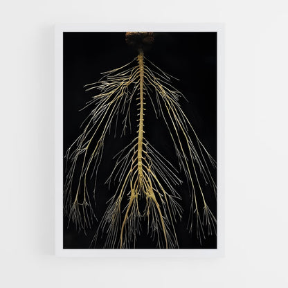 ap-neurons-3 cadre Blanc