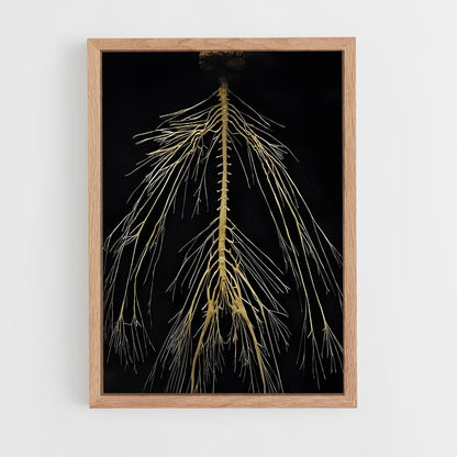 ap-neurons-3 cadre Bois clair