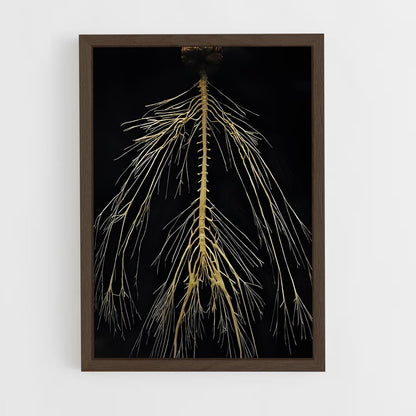 ap-neurons-3 cadre Bois foncé