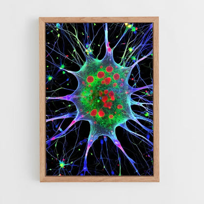 ap-neurons-4 cadre Bois clair