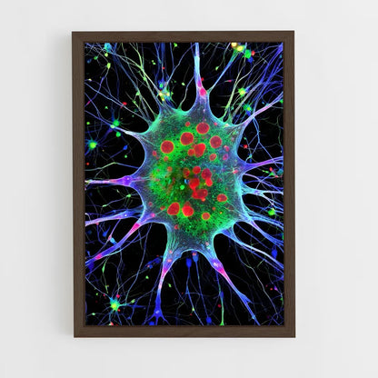 ap-neurons-4 cadre Bois foncé