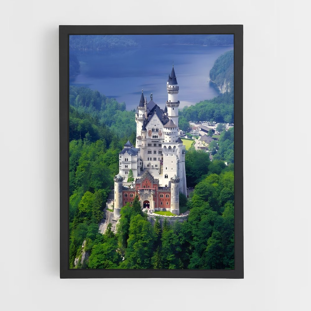 ap-neuschwanstein castle-11 cadre Noir