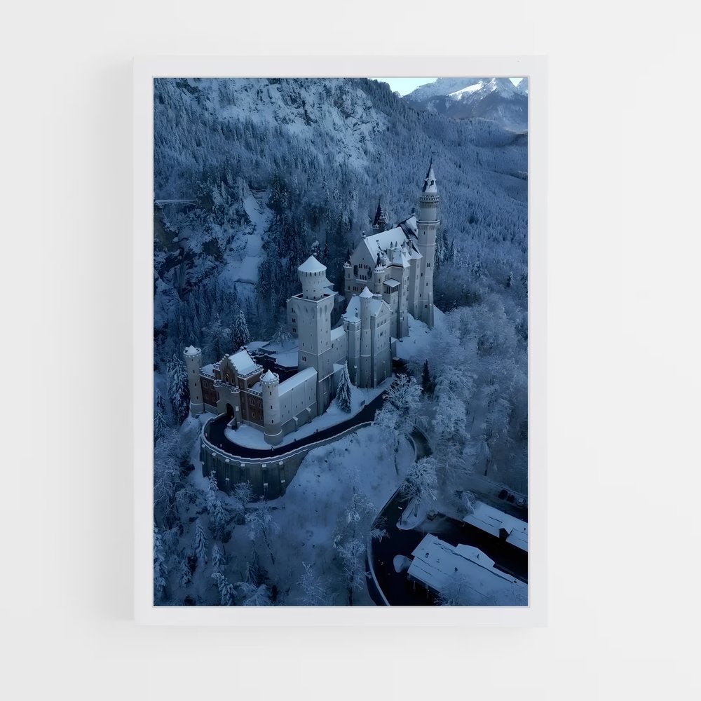 ap-neuschwanstein castle-2 cadre Blanc