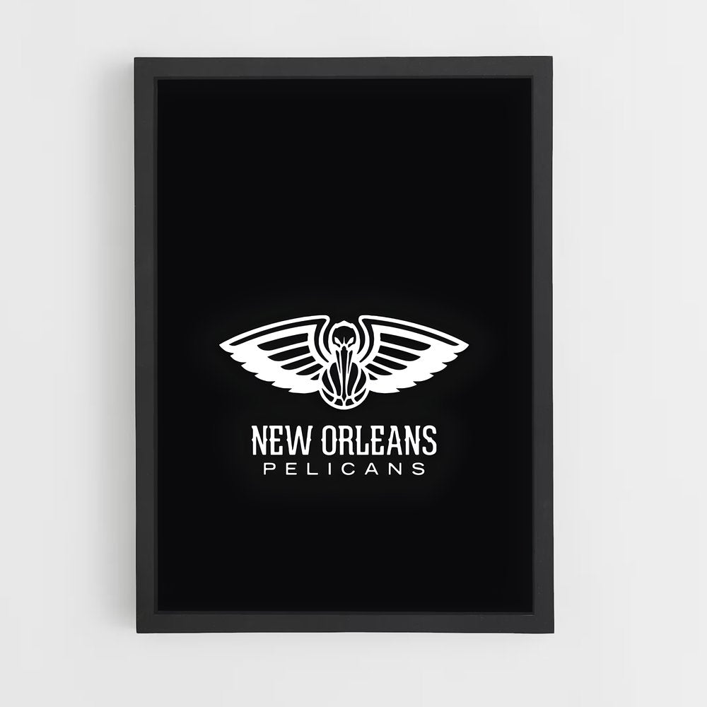 ap-new orleans pelicans-2 cadre Noir