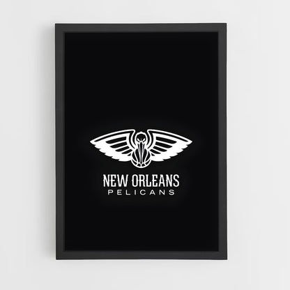 ap-new orleans pelicans-2 cadre Noir