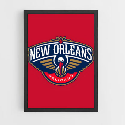 ap-new orleans pelicans-3 cadre Noir