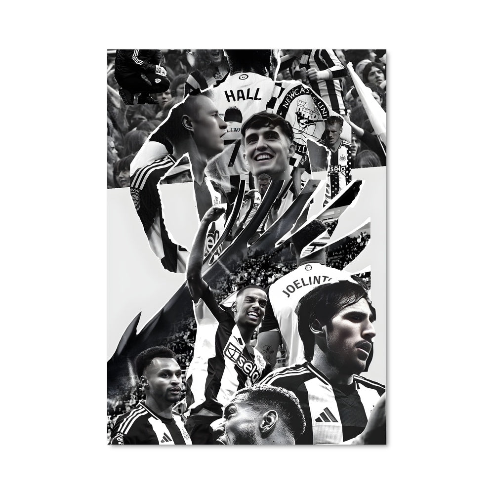 Poster Passion Magpie