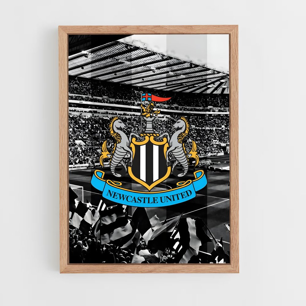 ap-newcastle united fc-5 cadre Bois clair