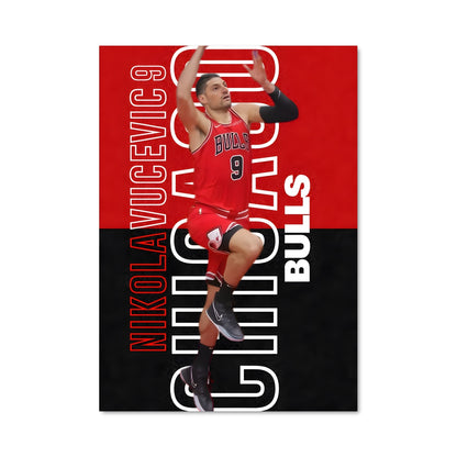 Poster Nikola vucevic 60080
