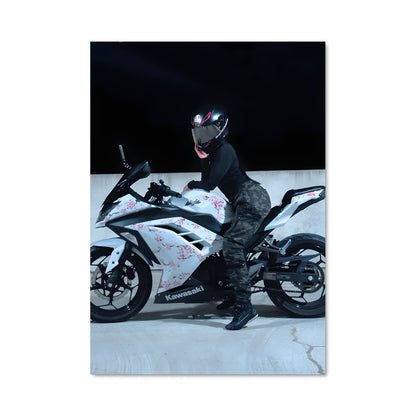Poster Ride of the Ninja
