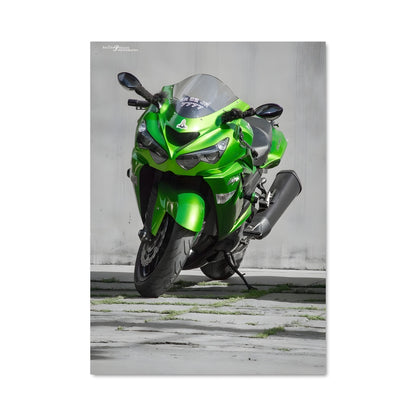 Poster Ninja Vert