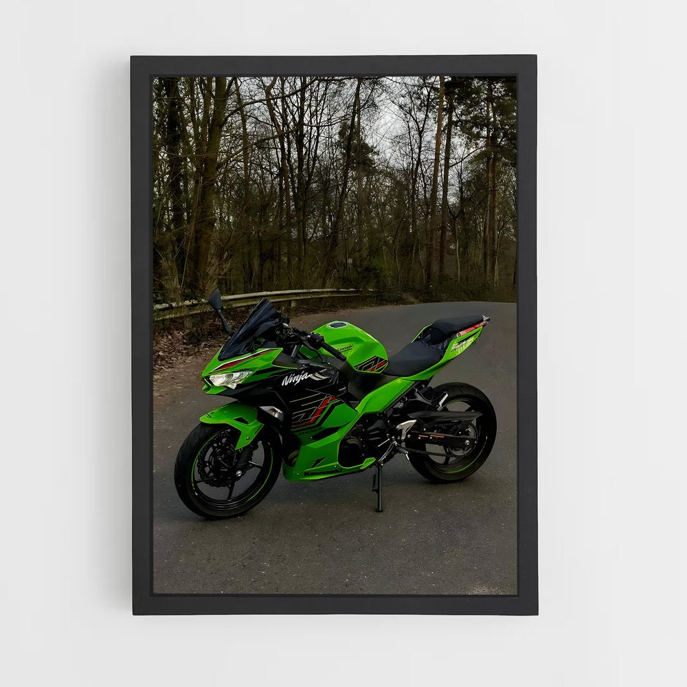 ap-ninja 300-1 cadre Noir
