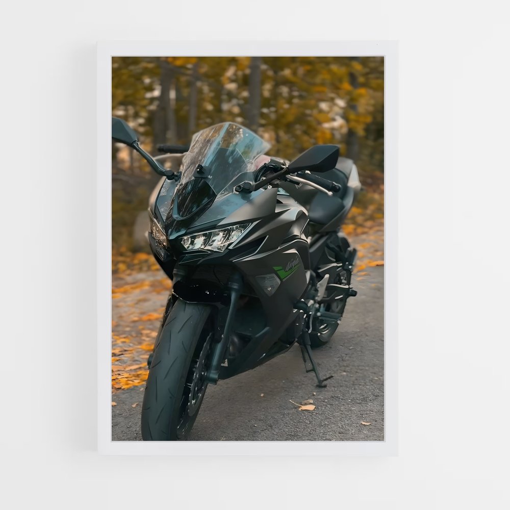 ap-ninja 650-1 cadre Blanc
