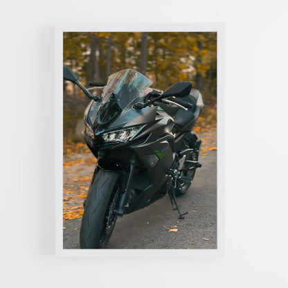ap-ninja 650-1 cadre Blanc