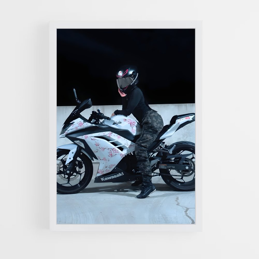 ap-ninja 650-4 cadre Blanc