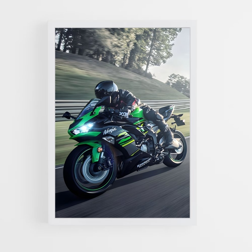ap-ninja 650-5 cadre Blanc