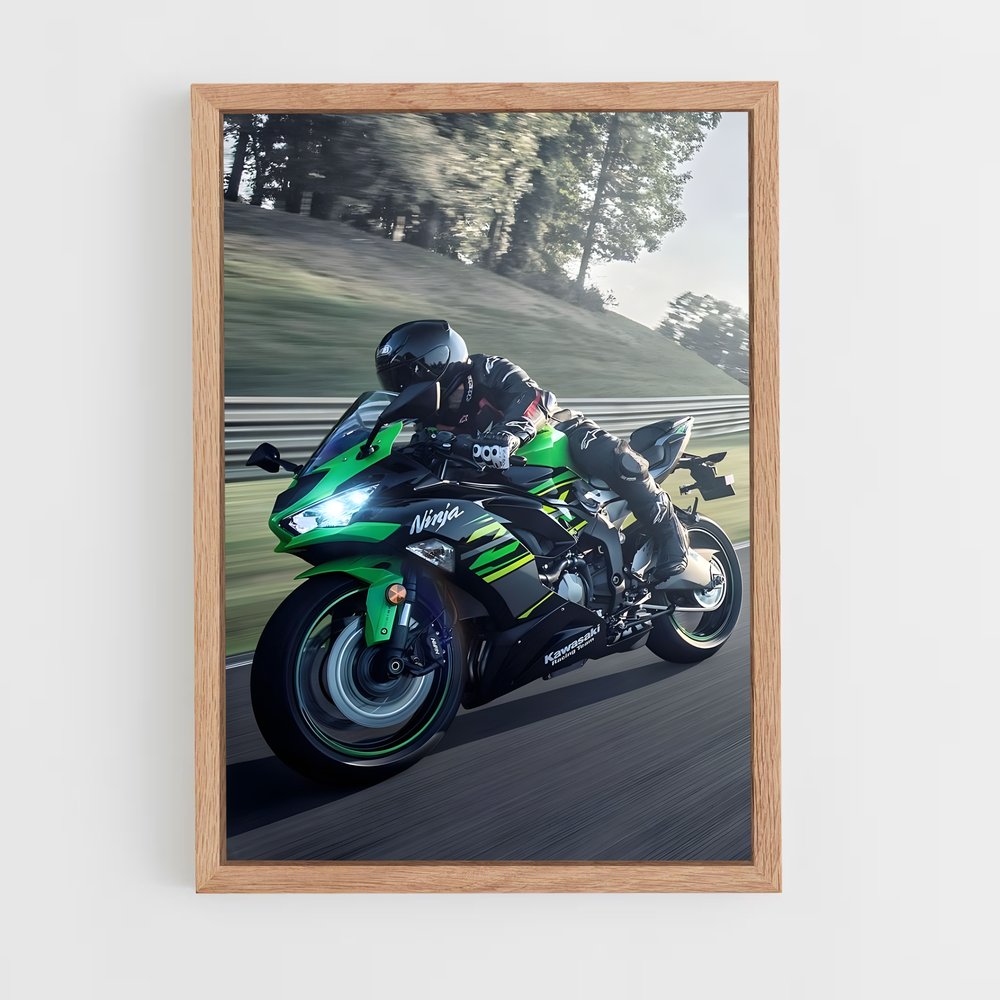 ap-ninja 650-5 cadre Bois clair