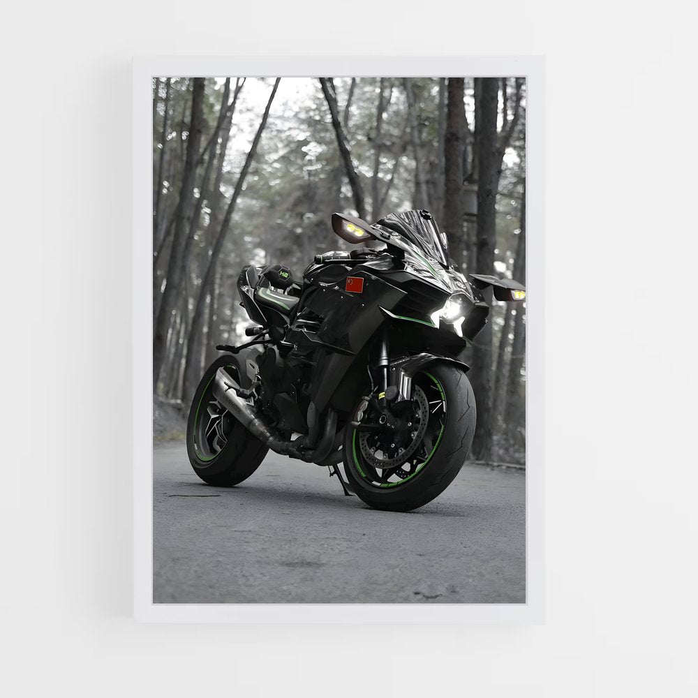 ap-ninja h2r-2 cadre Blanc