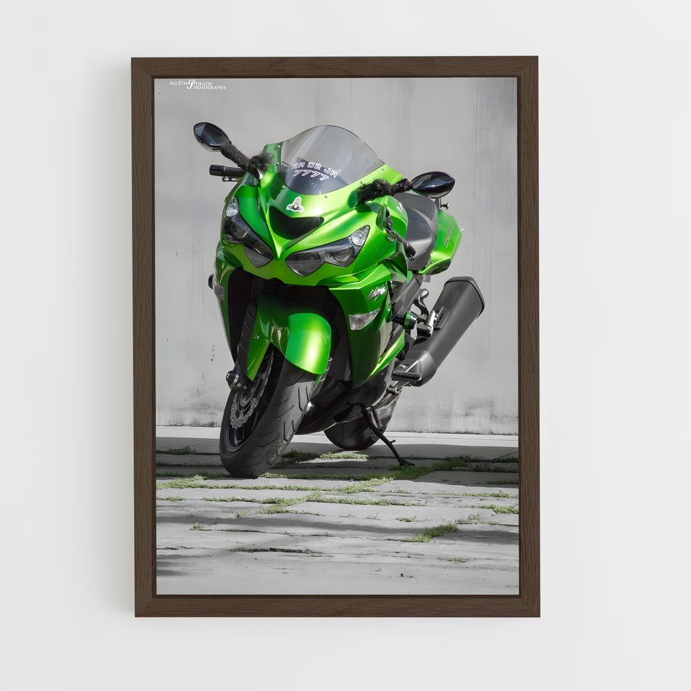 ap-ninja zx-14r-2 cadre Bois foncé