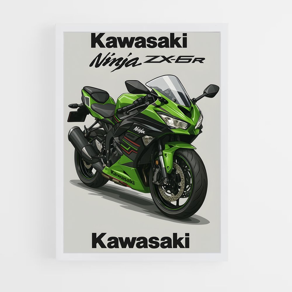 ap-ninja zx-6r-1 cadre Blanc