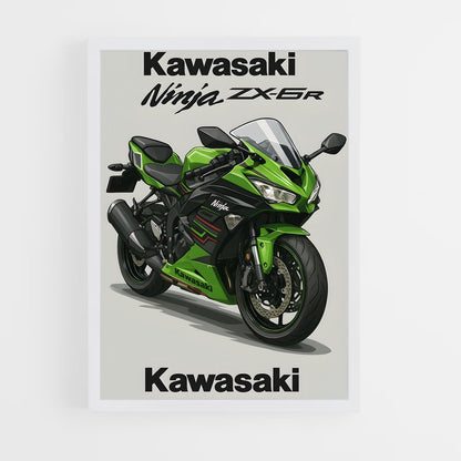 ap-ninja zx-6r-1 cadre Blanc