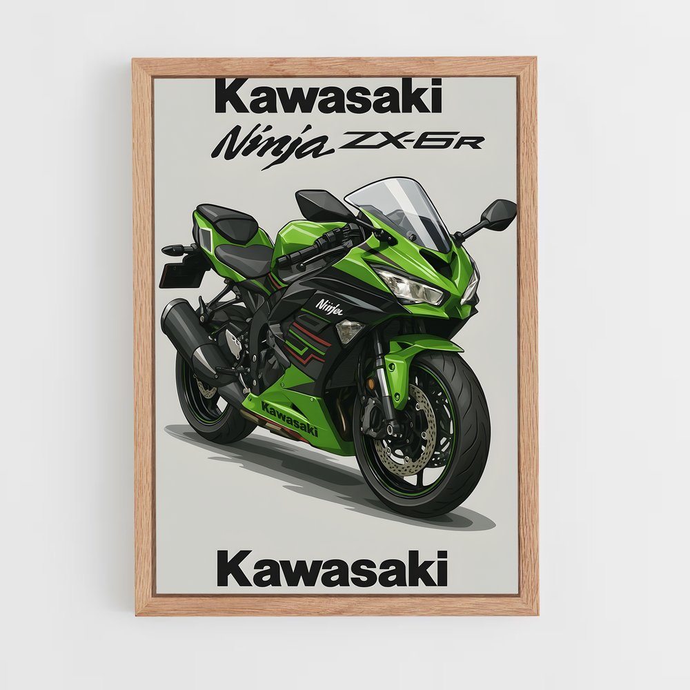 ap-ninja zx-6r-1 cadre Bois clair