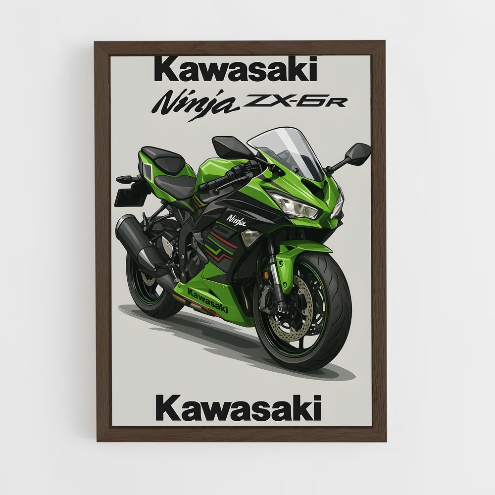 ap-ninja zx-6r-1 cadre Bois foncé