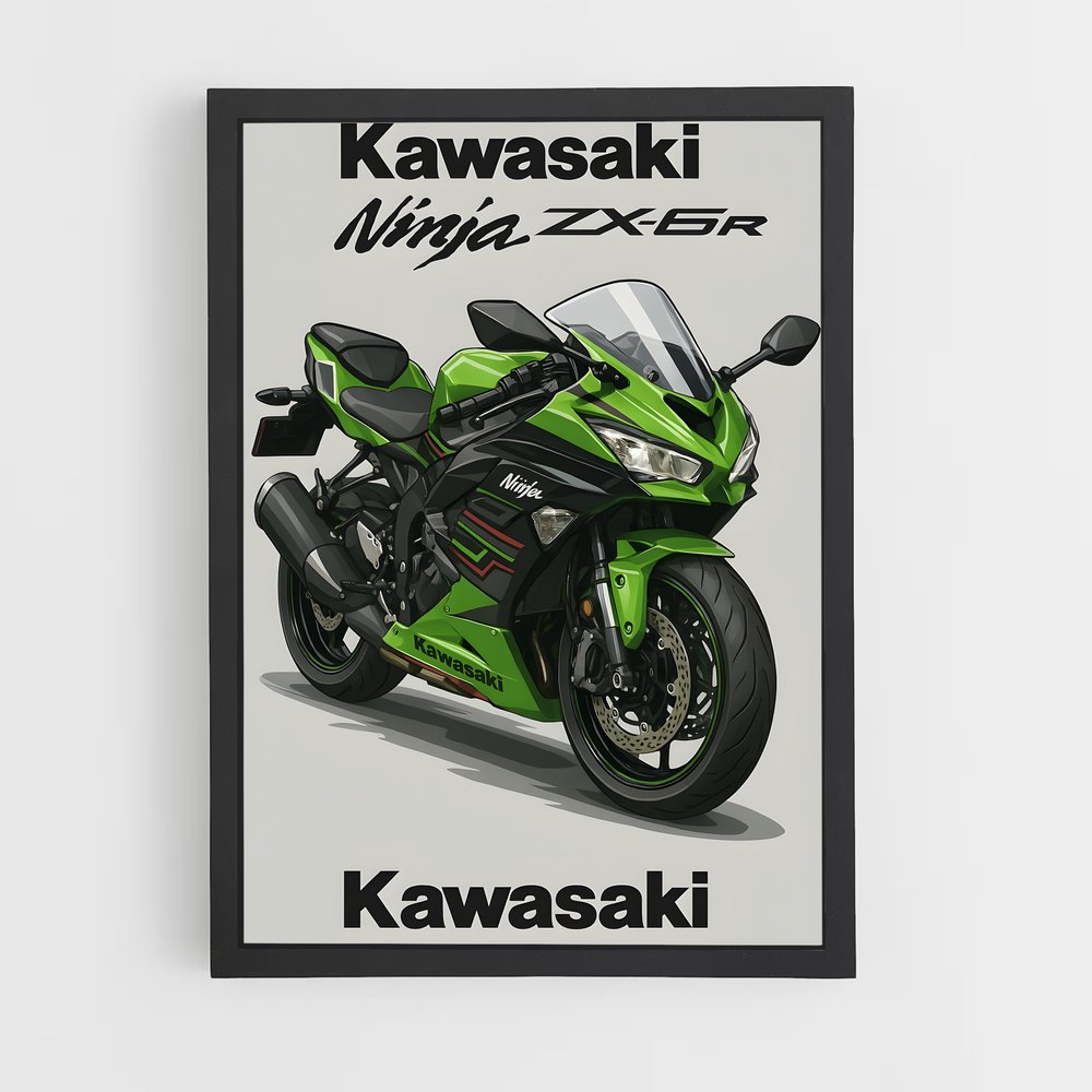 ap-ninja zx-6r-1 cadre Noir