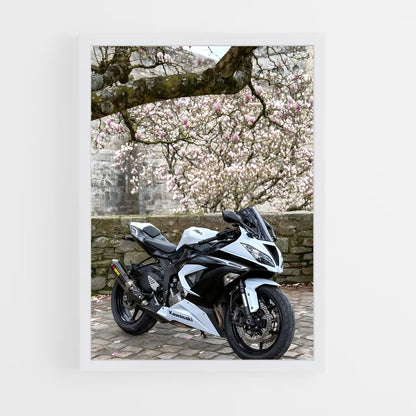 ap-ninja zx-6r-6 cadre Blanc