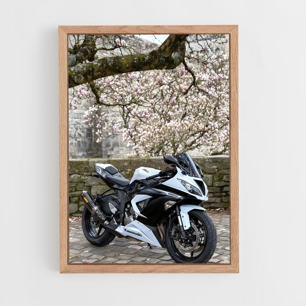 ap-ninja zx-6r-6 cadre Bois clair