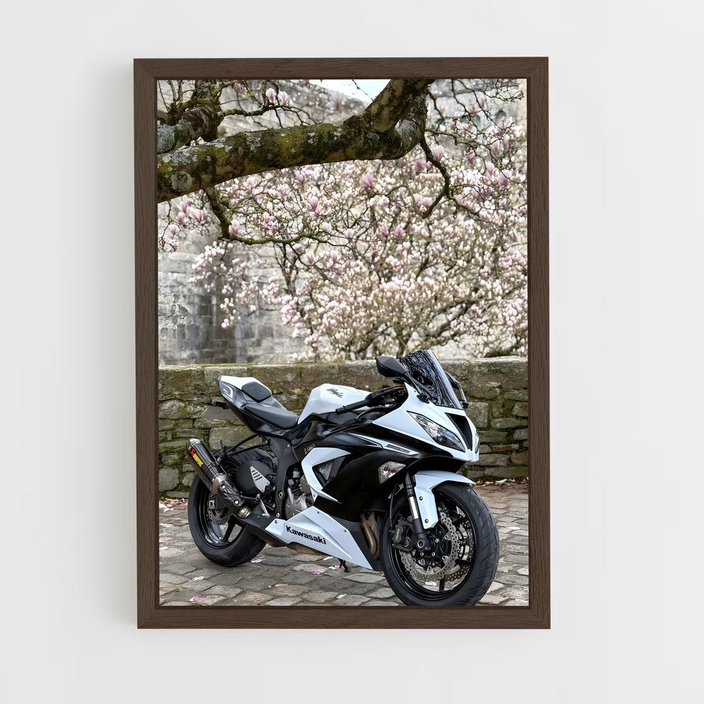ap-ninja zx-6r-6 cadre Bois foncé