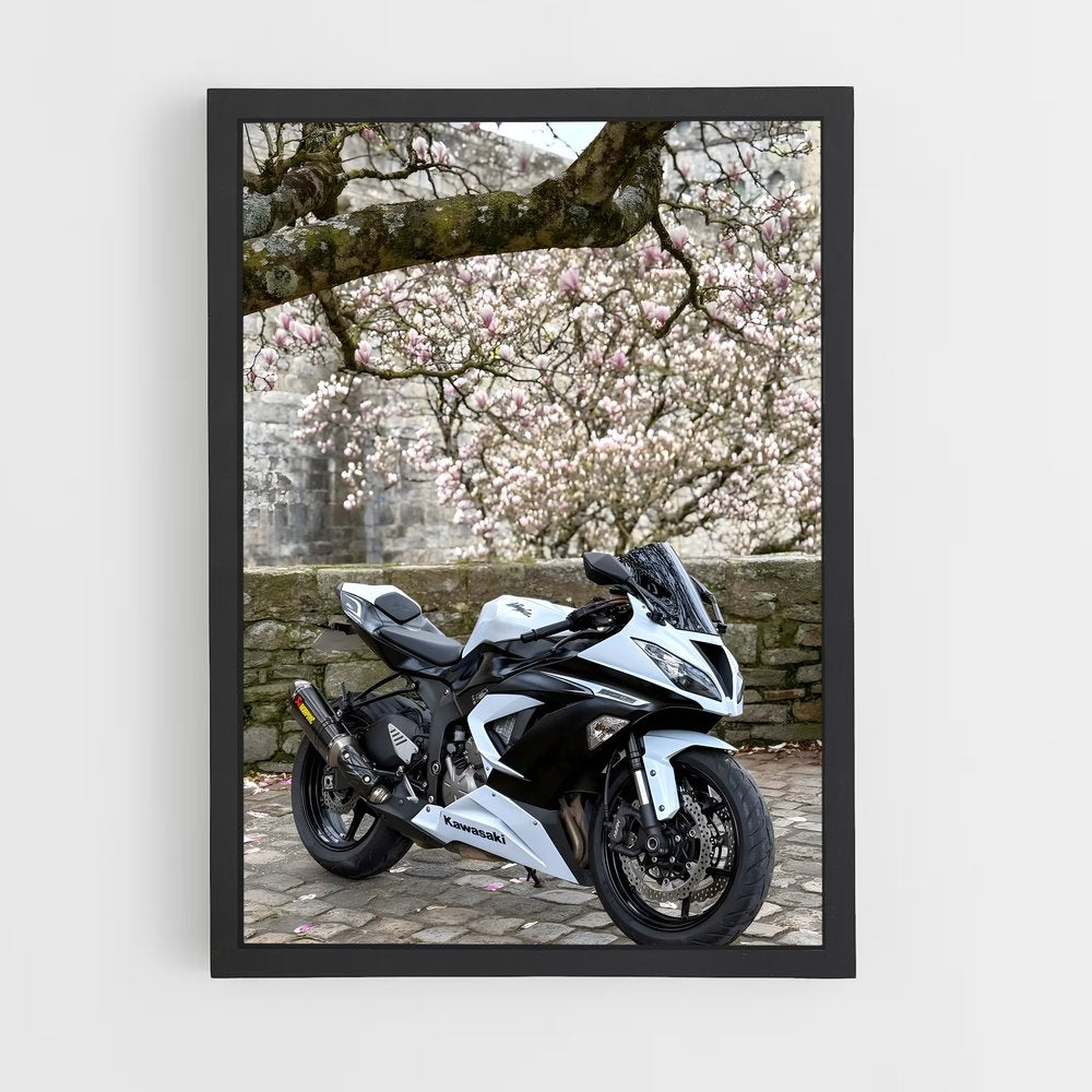 ap-ninja zx-6r-6 cadre Noir