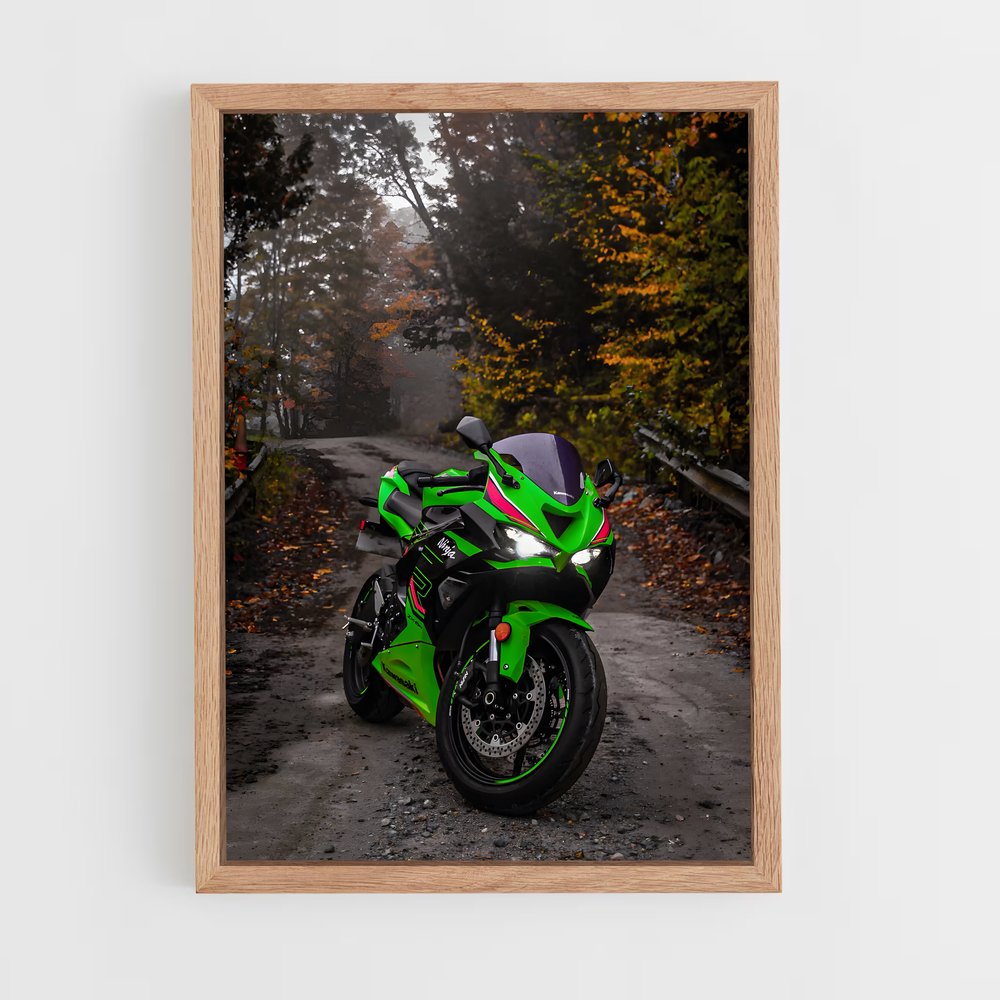 ap-ninja zx-6r-8 cadre Bois clair