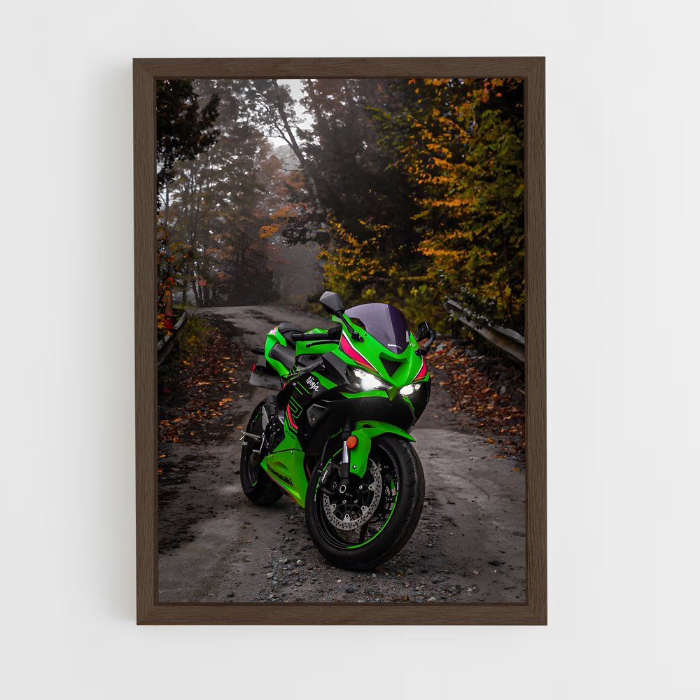ap-ninja zx-6r-8 cadre Bois foncé