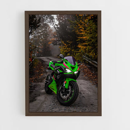 ap-ninja zx-6r-8 cadre Bois foncé