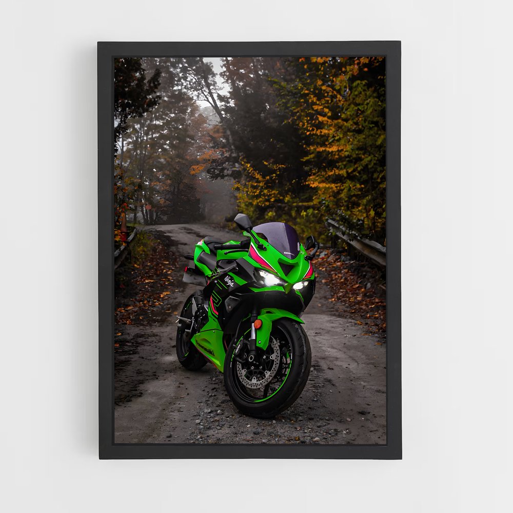 ap-ninja zx-6r-8 cadre Noir