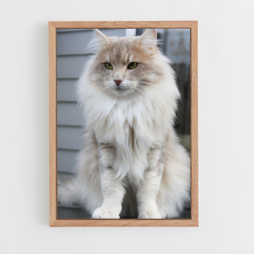 ap-norwegian forest cat-7 cadre Bois clair