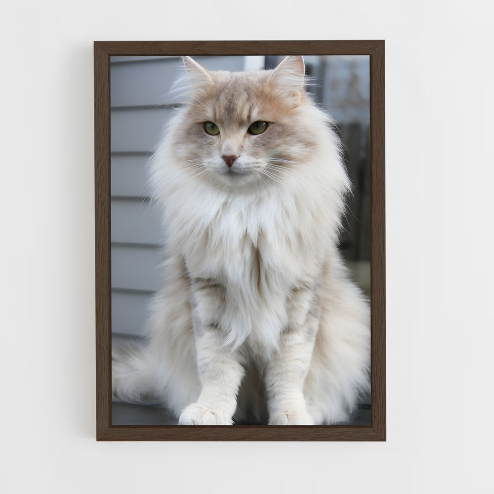 ap-norwegian forest cat-7 cadre Bois foncé