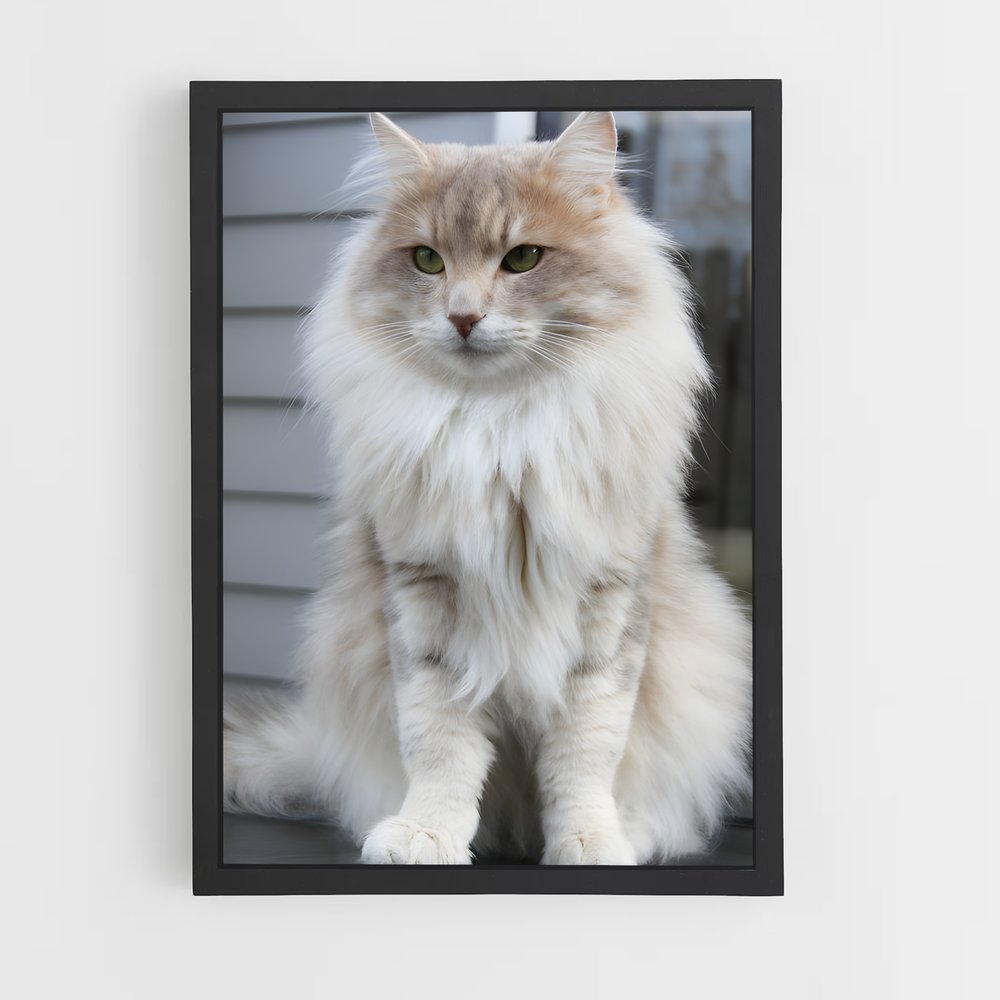 ap-norwegian forest cat-7 cadre Noir