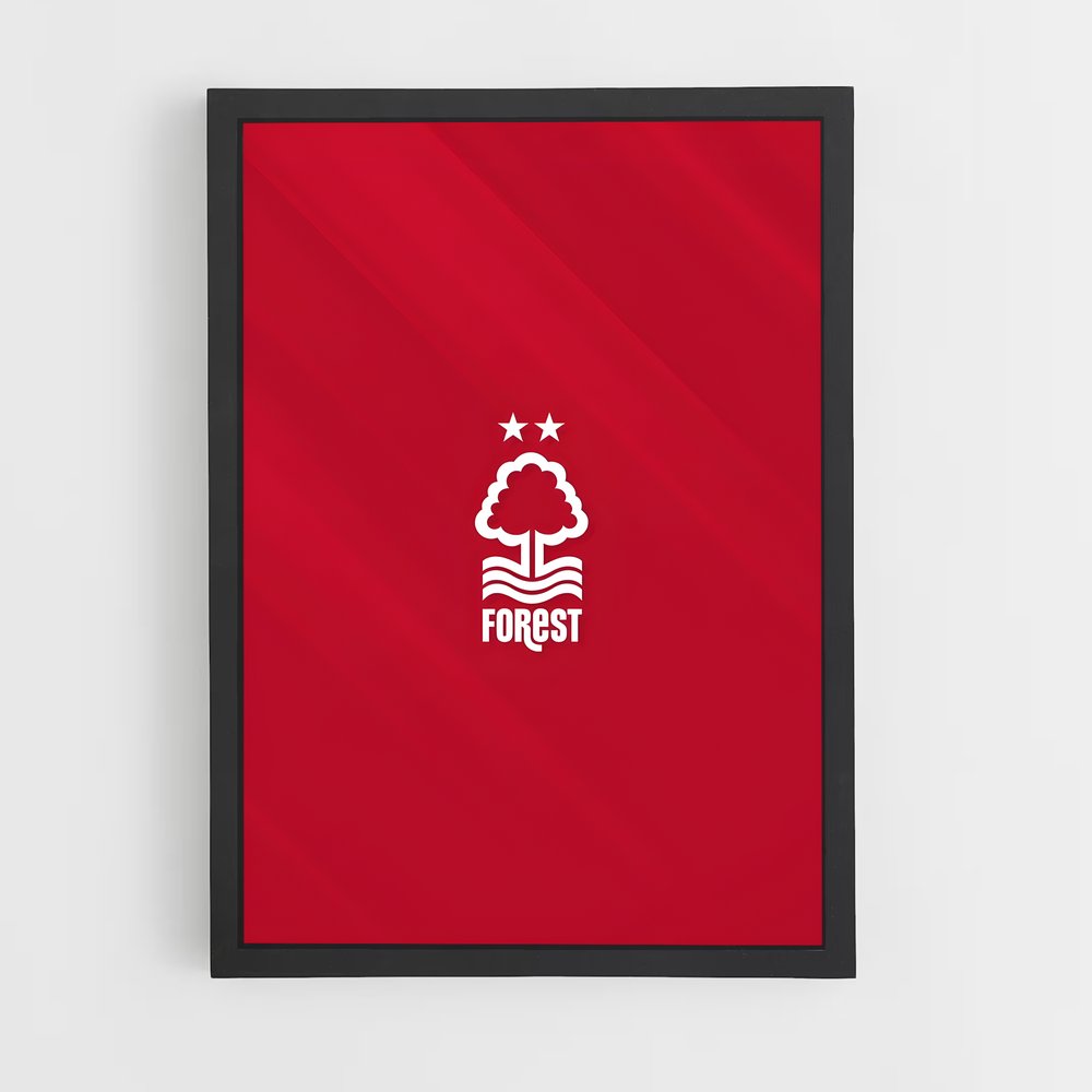 ap-nottingham forest fc-1 cadre Noir