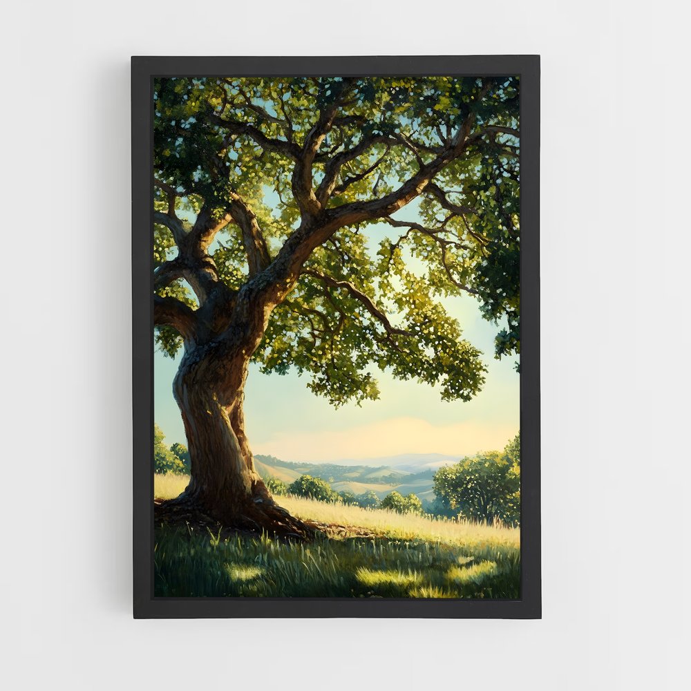 ap-oak-1 cadre Noir