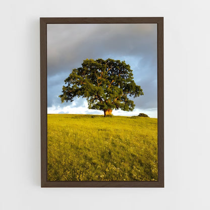 ap-oak-3 cadre Bois foncé