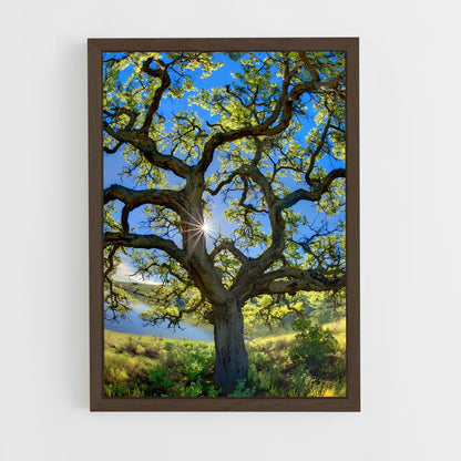 ap-oak-9 cadre Bois foncé