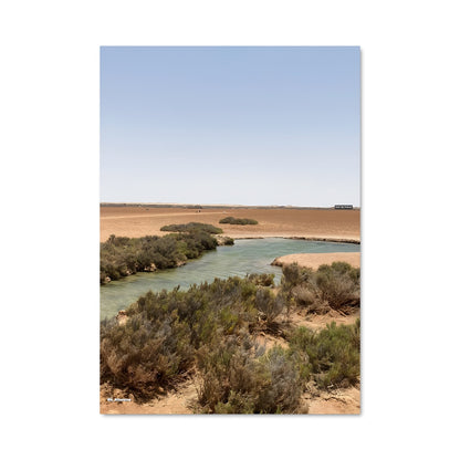 Poster Oasis 94791