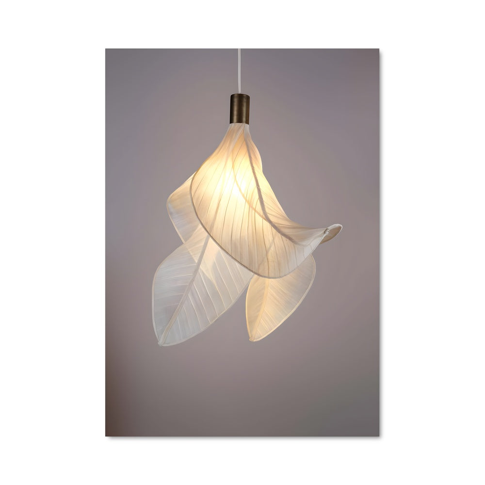 Poster Lumière Folle