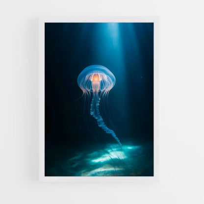 ap-ocean-7 cadre Blanc